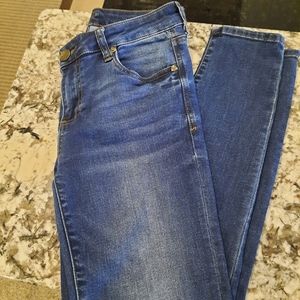 Kut from the Kloth Dayna Skinny Jean